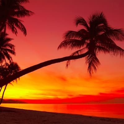 Croisière au coucher du soleil en pirogue à voile traditionelle