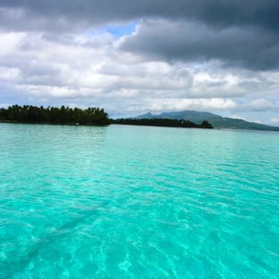 A la découverte du lagon de Tahaa avec pique nique sur motu