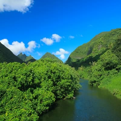 Excursion en pirogue sur la rivière de Faaroa et au Marae Taputapuatea