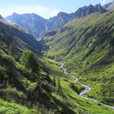 Randonnée pédestre guidée à la vallée de la Fautaua