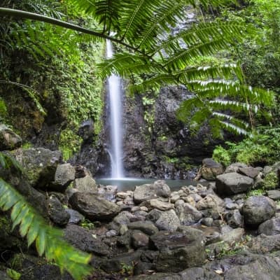 Randonnée pédestre pour les cascades