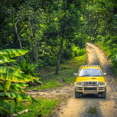 Safari 4x4 de l'intérieur de l'île