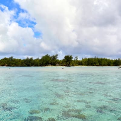 Tour de l'île Vanille en 4x4 et en bateau