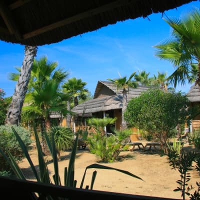 Visite guidée et dîner spectacle au Tiki Village