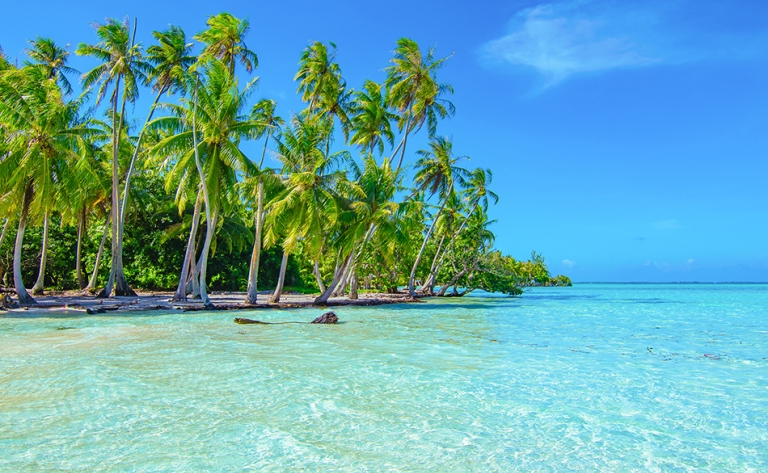 Motu Mahana, votre petit paradis