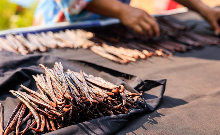 Huahine, entre nature et traditions