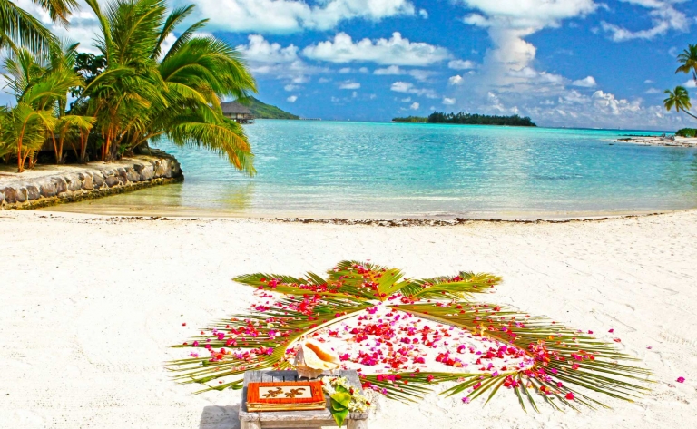 Une journée au paradis