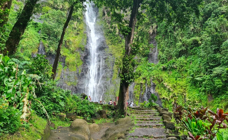 Découverte authentique de Tahiti