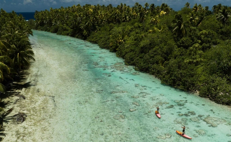 Tetiaroa ou la vie sauvage