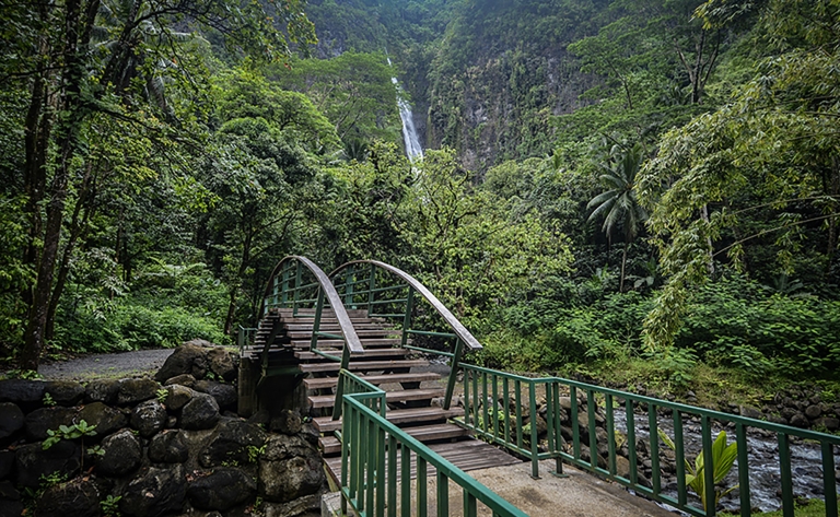Tour de l'île & musée de Tahiti